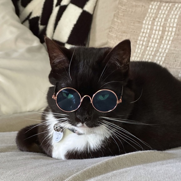 Meet your Posher, Barbara - Picture 14 of 16